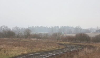 Third warmest autumn in Latvia's history / Article