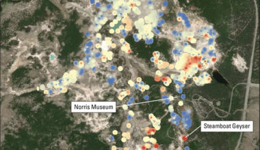 Harnessing Geospatial Data to Combat Climate Change and Build a Sustainable Future