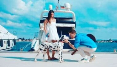 Pago the Dalmatian – a symbol, inspiration and now viral star