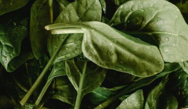 From cowpea seeds to spinach: Why ISRO is growing food in space? All you need to know about the new PSLV-C60 mission