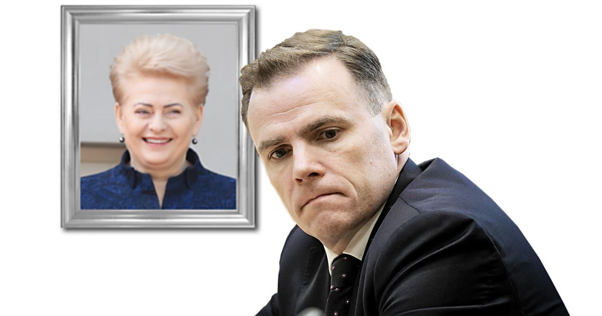 Kol M.Lingė dirbo D.Grybauskaitei, Konstitucija jam nerūpėjo - Respublika.lt