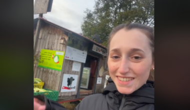 Encuentra esta caseta en medio del campo en Suiza y hay unanimidad en que en España sería imposible de ver