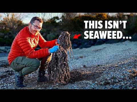 State of Belfast Lough