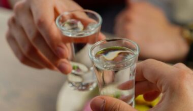 Rakija’s popularity grows in Croatia as image transforms