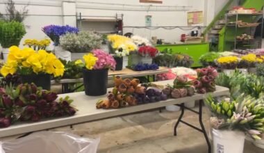 San Francisco Flower Market moving and shifting its business plan – NBC Bay Area