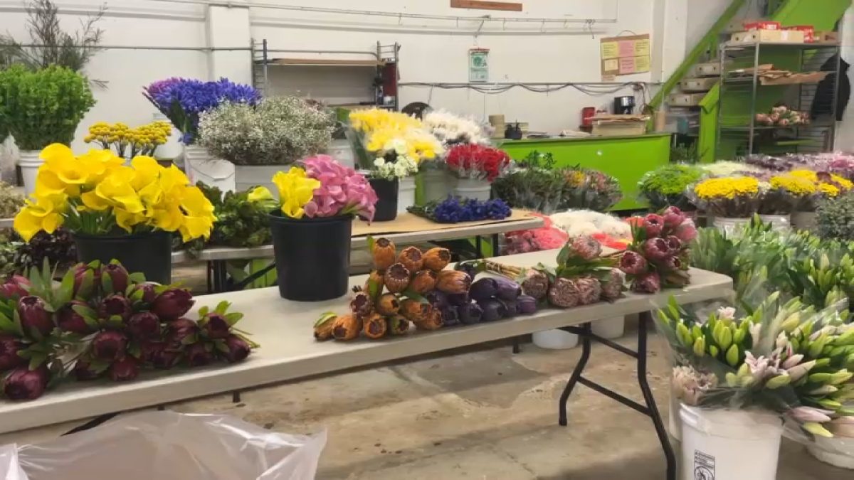 San Francisco Flower Market moving and shifting its business plan – NBC Bay Area