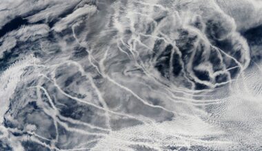 Low-level clouds play surprise role in global warming