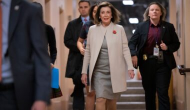 Pelosi has hip replacement surgery in Germany after fall