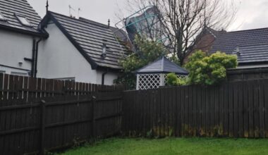 Free trampoline collection only