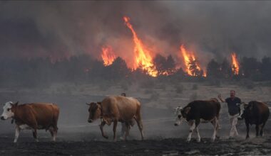 Climate crisis in 2025: ‘Ring the alarm bells for European policymakers at all levels’