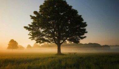 Climate Diplomacy: Fostering Unity or Deepening Global Divides