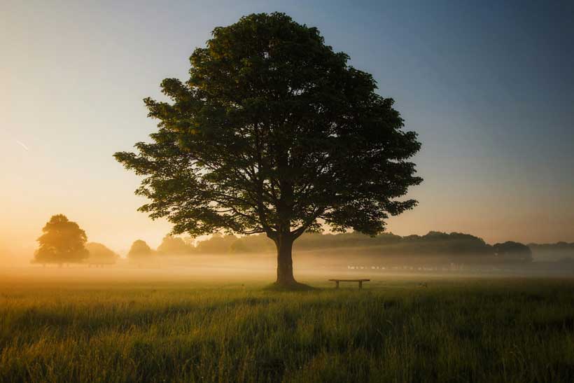 Climate Diplomacy: Fostering Unity or Deepening Global Divides