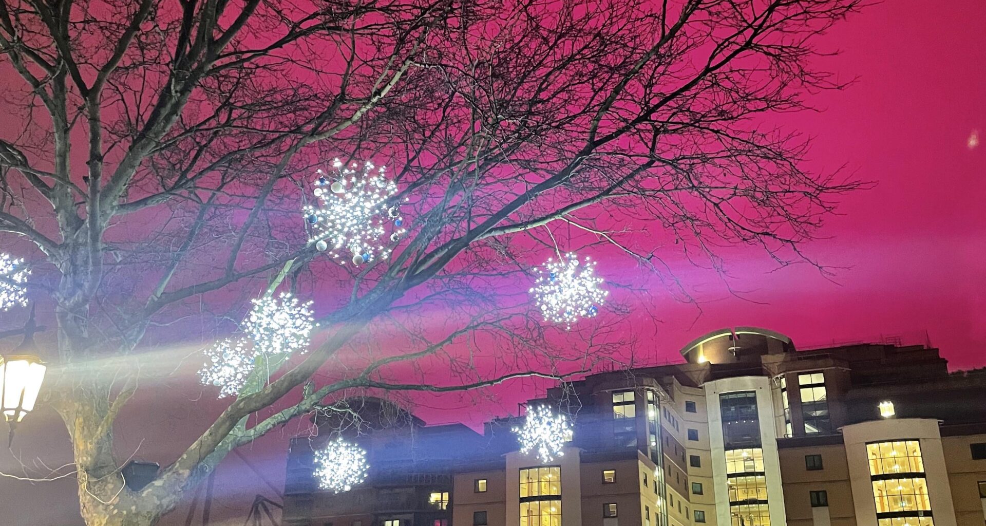 Pink Sky at Chelsea
