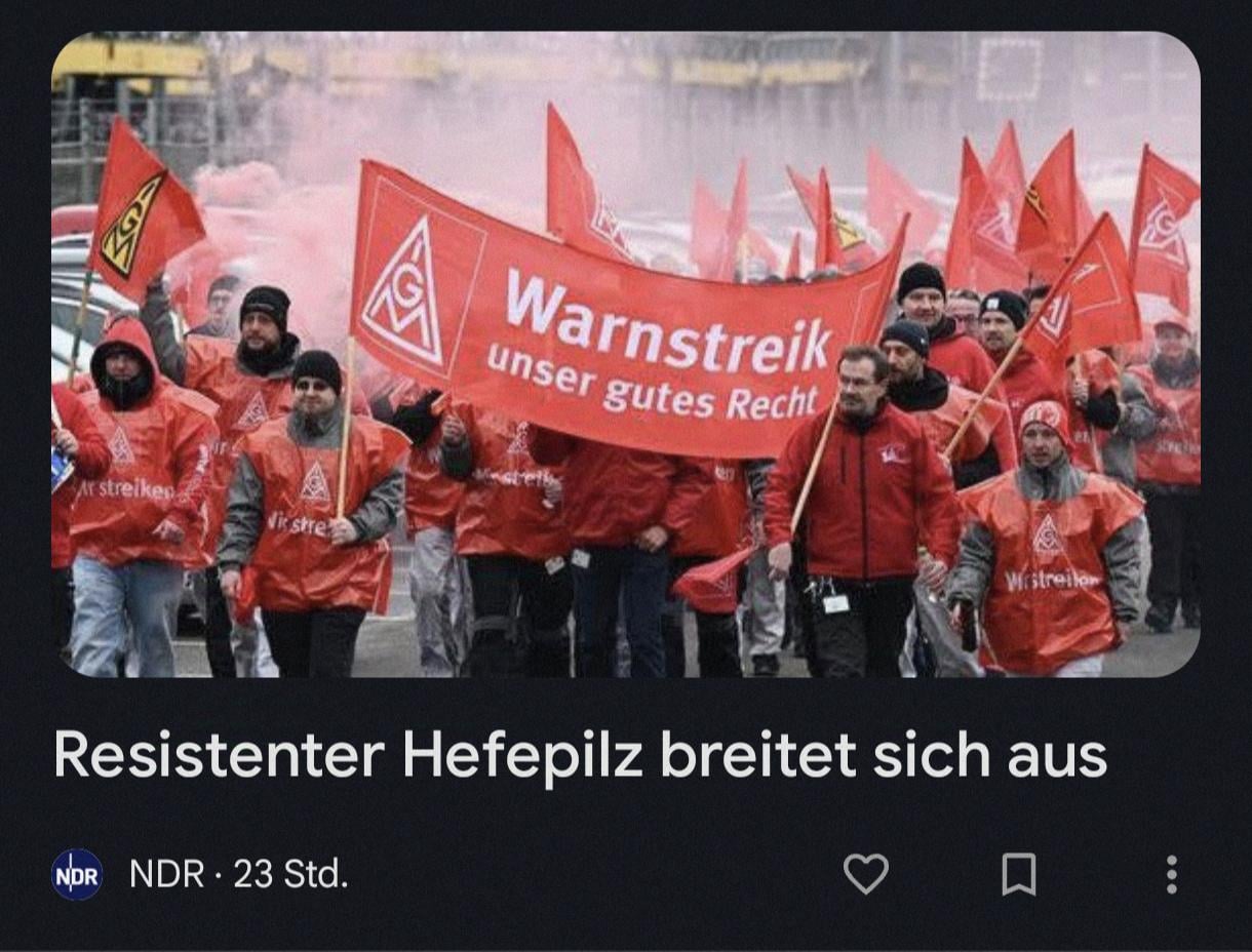 Das denkt also der NDR über IGM