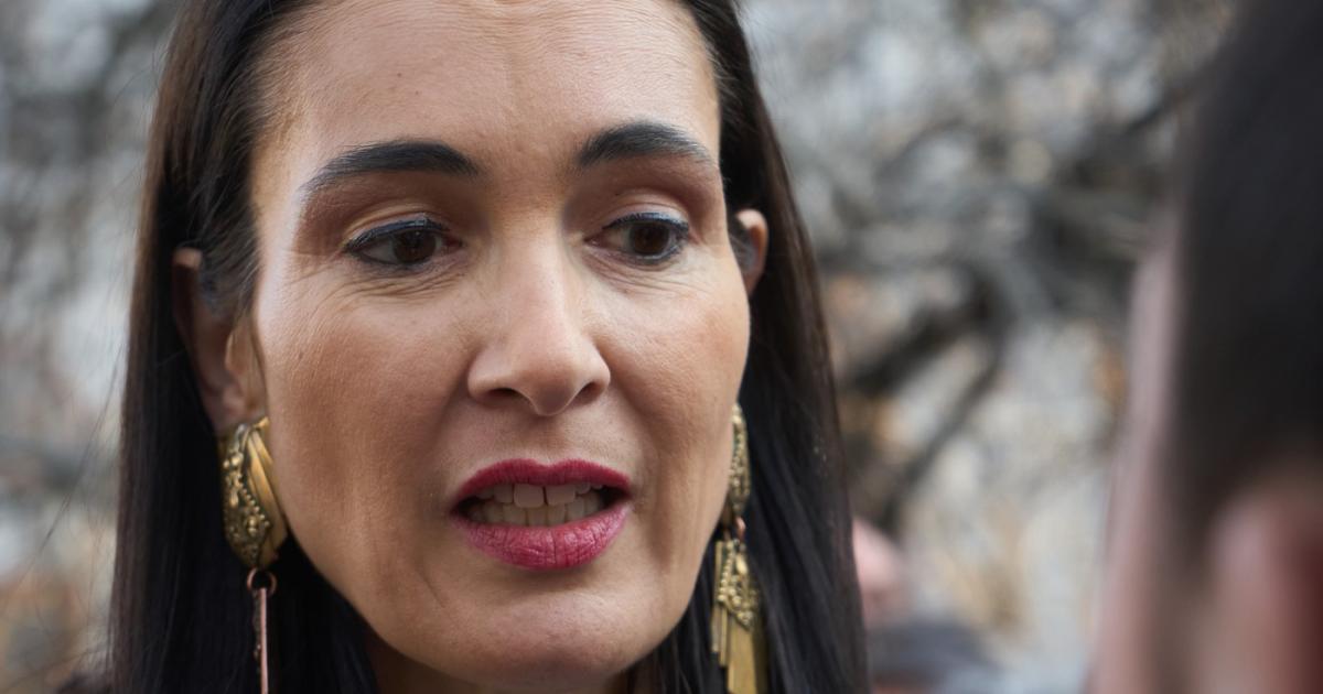 Clotilde Armand a renunţat la poziţia de senator. Cu o zi înainte anunţa că va prelua mandatul