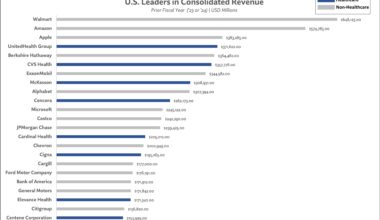 8 of the top 23 revenue producers in the U.S. is a healthcare company [OC]