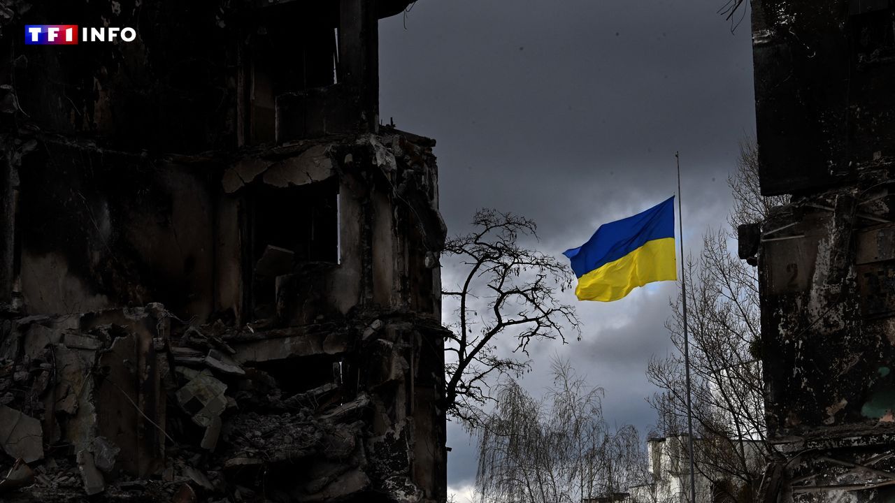 EN DIRECT - Ukraine : le Canada interdit des armes d'assaut qu'il offrira à Kiev