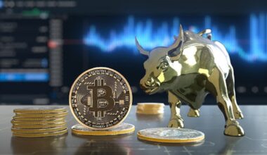 crypto bull market