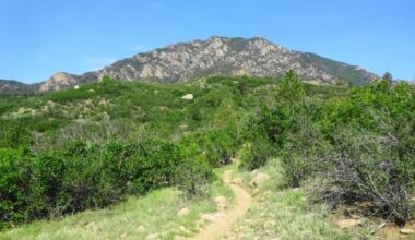 Cheyenne Mountain Space Force Station will be conducting prescribed burns