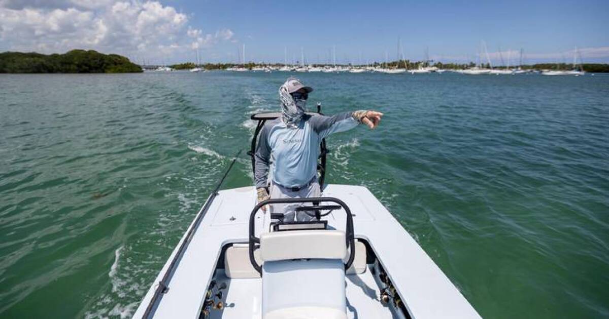 Encore: Climate change in Florida