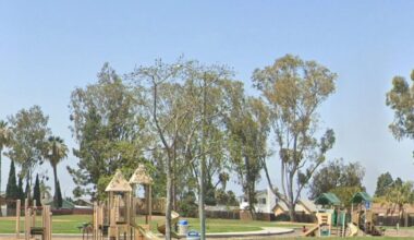 Three dogs, believed to be 'XL bullies,' fatally attack owner in San Diego park