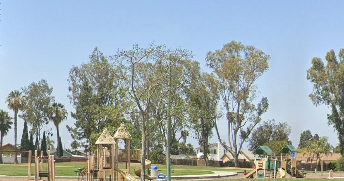 Three dogs, believed to be 'XL bullies,' fatally attack owner in San Diego park