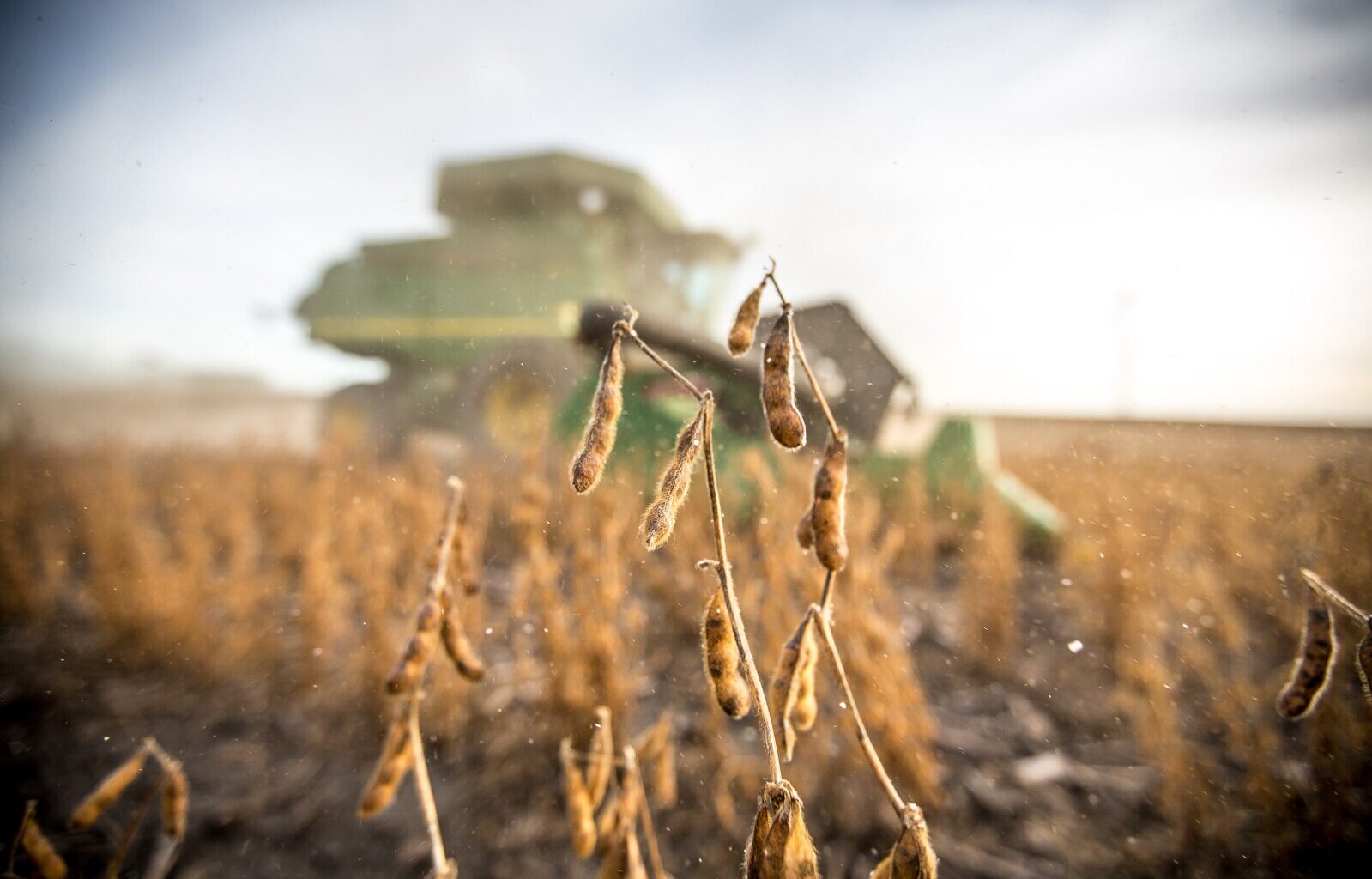 Ag economy adviser stresses strategic planning amid 2025 economic uncertainty - Agweek