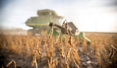 Ag economy adviser stresses strategic planning amid 2025 economic uncertainty - Agweek