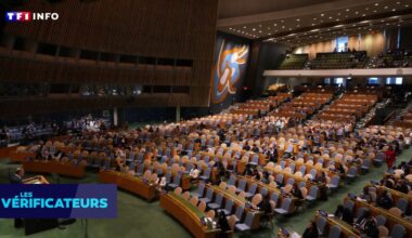 VÉRIF' - La France et l'Ukraine ont-elles refusé une résolution de l'ONU contre la glorification du néonazisme ?