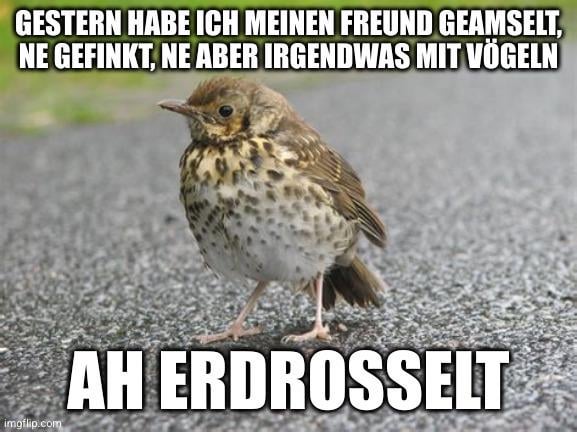 ich🐦iel