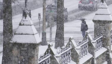 Wetter, more typical winter in the cards for B.C., Environment Canada says