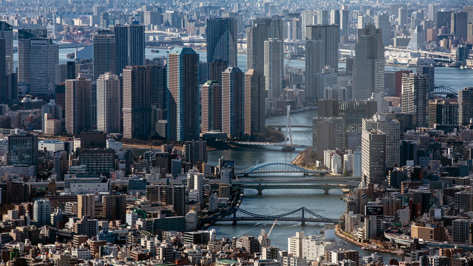 Japan business survey shows slight improvement in outlook for manufacturers