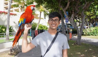 Ex-OpenAI engineer who raised legal concerns about the technology has died