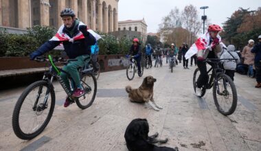 Germany, France and Poland condemn use of force against protesters in Georgia