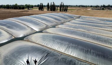 Environmental groups sue over California support for polluting biofuels