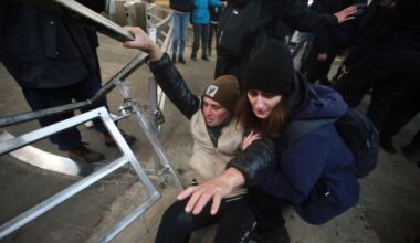 More than 200 people detained in Georgia during protests over the suspension of EU talks
