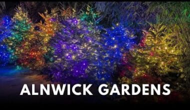 Exploring the festive light display at the beautiful Alnwick Gardens Winter Light Trail in north east England