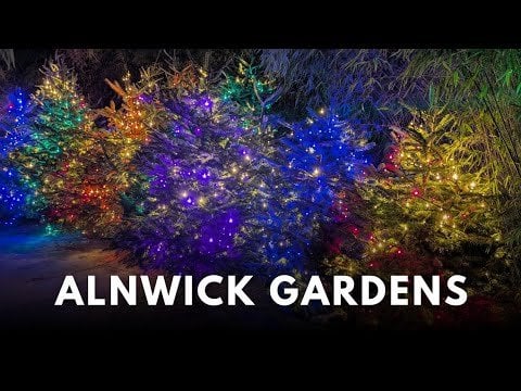 Exploring the festive light display at the beautiful Alnwick Gardens Winter Light Trail in north east England
