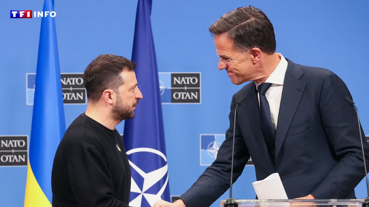 EN DIRECT - Guerre en Ukraine : Zelensky reçu ce mercredi par le secrétaire général de l'Otan à Bruxelles