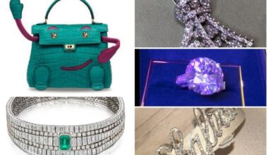 Brazen’ burglar escapes with £10m of jewellery stolen during north London mansion raid