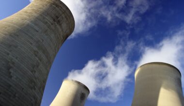 Should We Expect a Nuclear Renaissance in Africa?