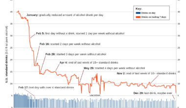 [OC] My path to sobriety: here is all the alcohol I drank in 2024