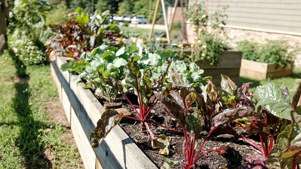 The national competition helping to make the Netherlands ‘climate-proof’