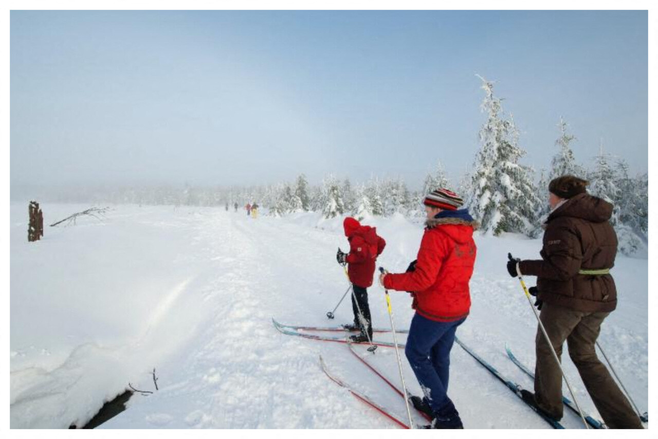 La Belgique, votre prochaine destination de sports d’hiver au départ de Lille ! Ce qu’il faut savoir