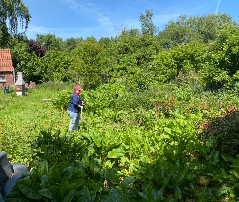 A hell of a lot of gardening