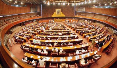 the tendency to behave like dictators has seeped into the leadership of the pml n so much so that one is totally befuddled by the way elected parliamentarians treat the two houses photo app