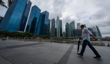 Singapore economy grew 4.0% in 2024, advance estimate shows