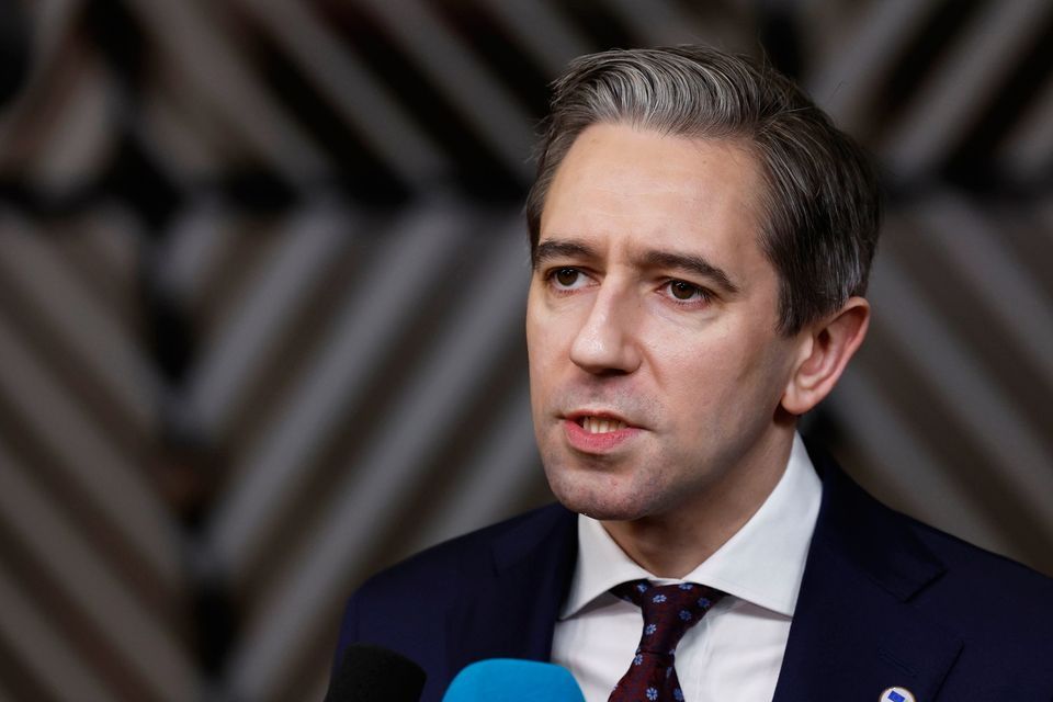 Simon Harris refused to apologise for calling Donald Trump a 'gowl'
