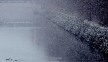 Vreme: Tako nam kaže do 12. januarja