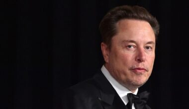 Germany's far-right AfD chief pushes back on Nazi claims in chat with Elon Musk on X
